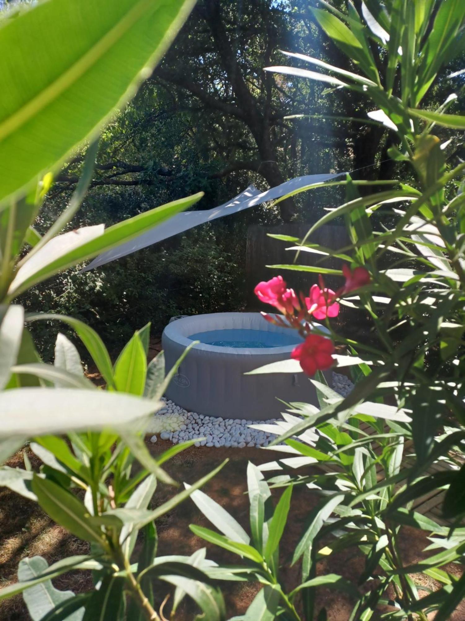 Suite Avec Jardin Entre Aix En Provence, Luberon Et Verdon Peyrolles-en-Provence エクステリア 写真
